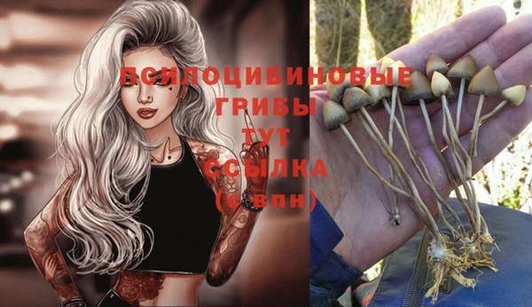 спиды Осташков