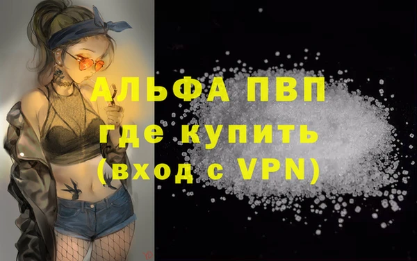 спиды Осташков