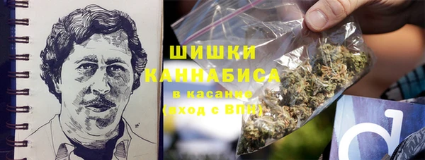 Альфа ПВП Осинники