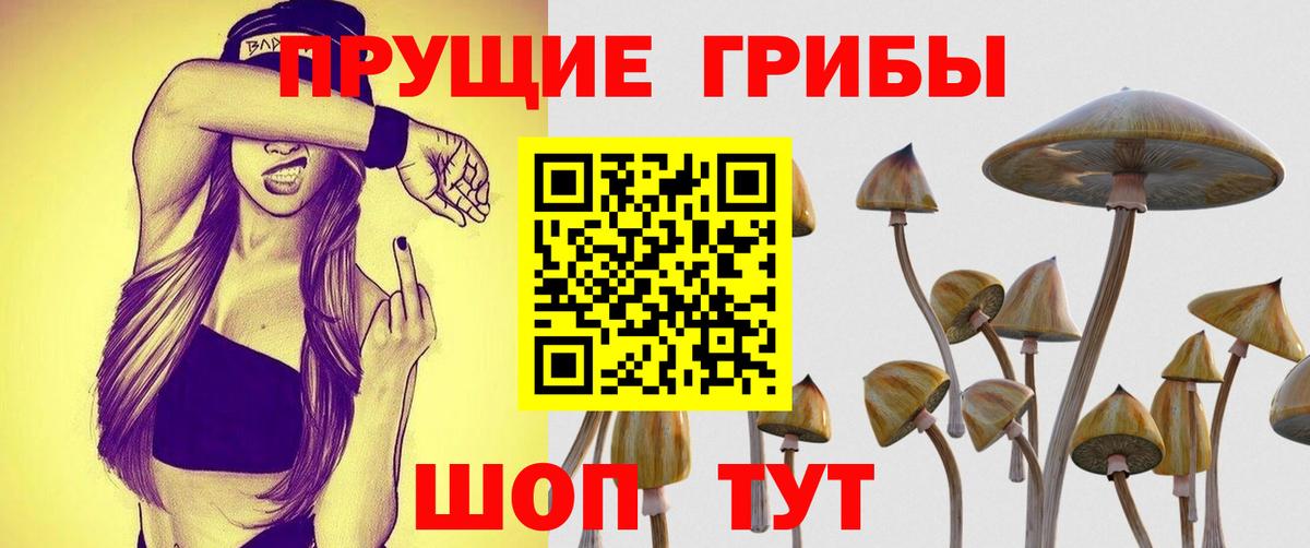 Галлюциногенные грибы мухоморы Ахтубинск