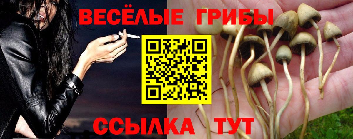 Псилоцибиновые грибы прущие грибы Ахтубинск
