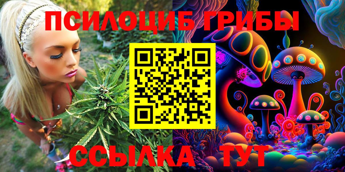 Псилоцибиновые грибы GOLDEN TEACHER  Вход с VPN  как найти наркотики  Псилоцибиновые грибы Psilocybe  Ахтубинск 