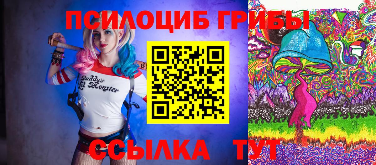 Псилоцибиновые грибы прущие грибы  Псилоцибиновые грибы Psilocybe  Ахтубинск 